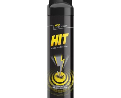 HIT Mosquito & Fly Killer Spray
